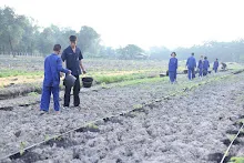 671115 ค่ายเปิดเทอมนักเรียนสัมมาฯ ทำงานเช้าขนของ ลงสวนผัก 15.JPG