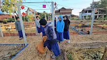 671130 เช้าปลูกต้นบล็อคเคอลี่ สวนครอบครัวน่ารัก 13.jpg