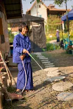 680218 สมุนพระราม เพาะควบแน่น เมล็ดพุทธรักษาที่ได้ผสมพันธุ์ข้ามสี  53.jpg