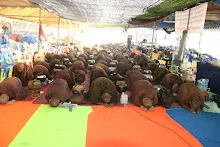 พท+สมณะบิณฑ์ที่งานชุมนุม (113).JPG