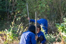 DSC04001.jpg