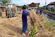 671216 สมุนพระราม ห่มดินสวนน่ารักด้วยฟางข้าว วัดระดับน้ำคลองไส้ไก่ 87.jpg