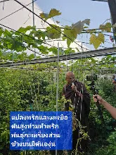 680210 ประชุมการศึกษาบุญนิยม ที่เนินพอกิน งานพุทธา 29.jpeg