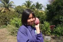 680202 สสธ.ม.3 ฝึกหัดเพาะชำต้นไม้แบบควบแน่น ไปสวนไวพลัง 267.JPG