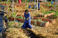 671227 สมุนพระรามเข้าค่าย งาน ว.บบบ. วันแรก ทำสวน ทำครัว 60.jpg