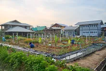 680121 สมุนพระรามยกกระถางต้นไม้แต่งสวน เปียหม่องทดลองเปิดน้ำตก 32.jpg