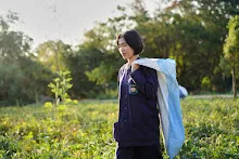 680204 สสธ.ชาวชุมชน สีเหลืองสีแดง เก็บถั่วพุ่มนาลานกราบ 74.jpg