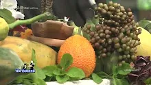 .สื่อธรรมะพ่อครู(พระวินัย)  ตอน เรื่องสวดพระธรรมด้วยทำนอง.mp4