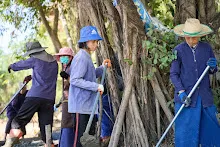 670130 ชาวบ้านราช คุ้มสีเหลือง +ส้ม+ม่วง ร่วมแรงร่วมใจเทปูนลานสู่สูญ รอบ 2 17.jpeg