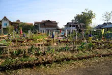680117 สมุนพระรามปรับปรุงสวน ทาสีเสาป้ายสวนครอบครัวน่ารัก 1.jpg