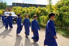 671228 สมุนพระรามเข้าค่าย เรียนการปรับปรุงพันธุ์พุทธรักษา เล่นเกมกินวิบาก พาทัวร์รถราง 373.jpg
