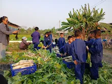 LINE_ALBUM_680219 สมุนพระรามเก็บหัวไชเท้า_250225_35.jpg