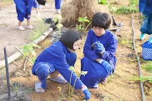 680714 สมุนพระรามร่วมงานวันบวร ถอนหญ้าสวนกตัญญูแผ่นดิน 6.JPG