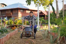 680110 สมุนพระราม ทำ 5 ส ปลูกต้นองุ่น ปรับปรุงแปลงดอกไม้ 84.jpg