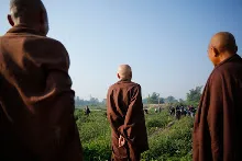 _5D35953.JPG