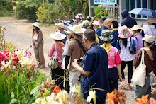 680419 ครูดีไม่มีอบายมุข รุ่น 14 เข้า work shop สวนครอบครัวน่ารัก 255.jpg