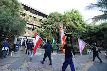 IMG_9898.JPG