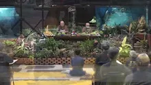 สื่อธรรมะพ่อครู ตอน สุขจัดจ้านนรกก็สุดลึก-_.mp4