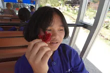 680202 สสธ.ม.3 ฝึกหัดเพาะชำต้นไม้แบบควบแน่น ไปสวนไวพลัง 394.JPG
