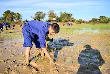 680111 กิจกรรมดำนาวันเด็กแห่งชาติ ของนร.สสธ.และสมุนพระราม 106.jpg