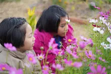 680110 สมุนพระราม ทำ 5 ส ปลูกต้นองุ่น ปรับปรุงแปลงดอกไม้ 44.jpg