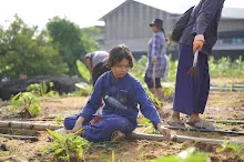 680714 สมุนพระรามร่วมงานวันบวร ถอนหญ้าสวนกตัญญูแผ่นดิน 63.JPG