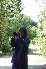 680202 สสธ.ม.3 ฝึกหัดเพาะชำต้นไม้แบบควบแน่น ไปสวนไวพลัง 235.JPG