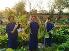 LINE_ALBUM_680219 สมุนพระรามเก็บหัวไชเท้า_250225_61.jpg