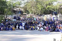671229 ขบวนแห่พืชพันธุ์ธัญญาหารในงานเพื่อฟ้าดิน 137.JPG