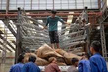 680120 ชาวบวรบ้านราช ช่วยกันลงเต๊นท์ 6.jpg