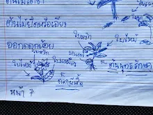 680221 สมุนพระรามหัดสังเกต 9 อาการผิดปกติของพืช 44.jpg