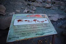 IMG_1287.CR2