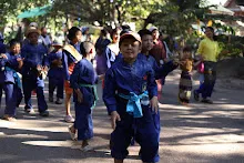 671229 ขบวนแห่พืชพันธุ์ธัญญาหารในงานเพื่อฟ้าดิน 85.JPG