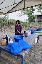 671213 ภาพ การเลี้ยงผำในอ่างพลาสติก ปสช.บิวตี้ บอส 26.jpg