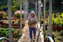 680117 สมุนพระรามปรับปรุงสวน ทาสีเสาป้ายสวนครอบครัวน่ารัก 10.jpg
