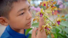 680410 สมุนพระรามนำต้นกล้าดอกไม้ที่เพาะไว้ออกขายเป็นครั้งแรกในตลาดอาริยะ 26.jpg
