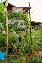 680408 สัมมนาการศึกษาบุญนิยมงานปลุกเสกฯ ณ สวนครอบครัวน่ารัก 32.jpg