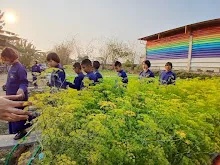 LINE_ALBUM_680219 สมุนพระรามเก็บหัวไชเท้า_250225_6.jpg