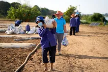 670120 สมุนพระรามเรียน ปวช ช่วยสะสางผักตบจากบุ่ง สสษ.ใส่ปุ๋ยแปลงแตงโมริมมูล 45.jpeg