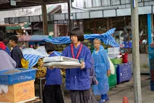 A7209531.jpg