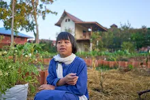 680608 สมุนพระรามเก็บเมล็ดพันธุ์ดอกไม้กินได้ที่สวน ไปขนดินปลูก 7.jpg