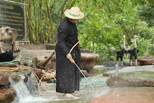 680511 ภาพโฮมแฮงขัดนำตกองค์พระพุทธธาในวันวิสาขฯ 103.jpeg