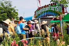 680419 ครูดีไม่มีอบายมุข รุ่น 14 เข้า work shop สวนครอบครัวน่ารัก 165.jpg
