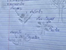 680221 สมุนพระรามหัดสังเกต 9 อาการผิดปกติของพืช 17.jpg