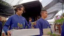 680410 สมุนพระรามนำต้นกล้าดอกไม้ที่เพาะไว้ออกขายเป็นครั้งแรกในตลาดอาริยะ 35.jpg