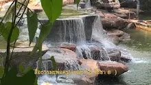สื่อธรรมะพ่อครู(จรณะ 15 วิชชา 8) ตอน นักปฏิบัติธรรมกับการเคี้ยวอาหาร.mp4