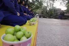 680111 สสธ.แสดงภาคค่ำ งานวันเด็กแห่งชาติ กล้องเด็กถ่ายเอง 7.jpg