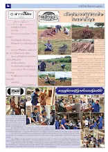 6906_รวมปักษ์ มิถุนายน_สี2_0.jpg