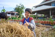 671210 สมุนพระรามขนฟางปูสวนครอบครัวน่ารัก 80.jpg