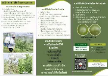680209 เดินตามรอยโพธิสัตว์ งานพุทธาฯปฐมอโศก ต้นทองหลาง สังเคราะห์แสง 48.jpeg